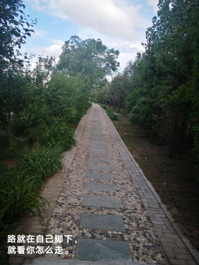 为什么要聚焦高考,全民聚焦2018全国高考