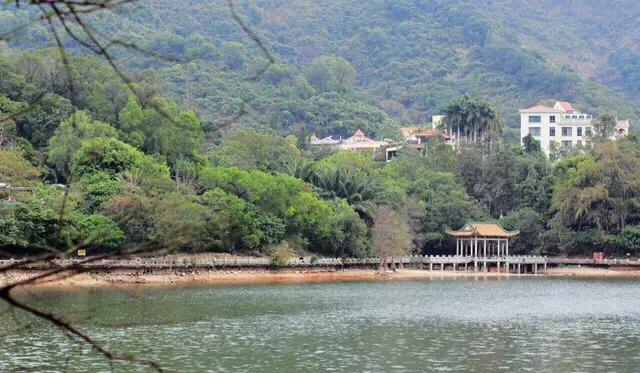 深圳免费公园哪里最好啊,深圳十大免费公园景点大全