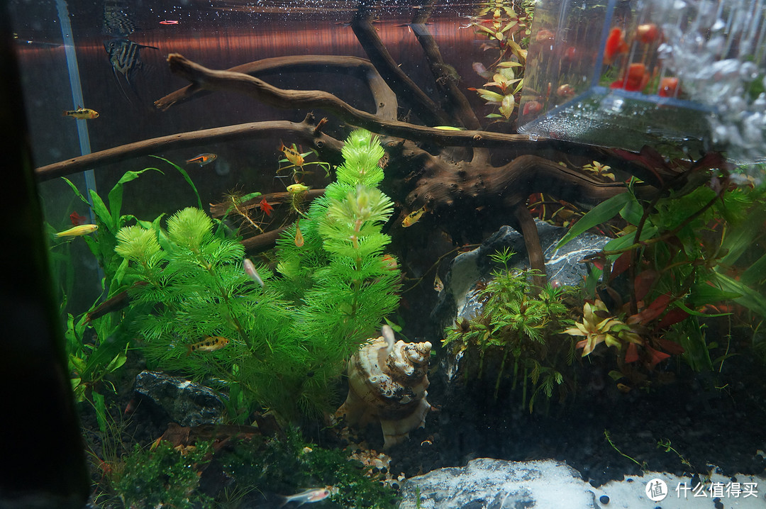 沉浸式桌面改造,沉浸式布置新的桌面