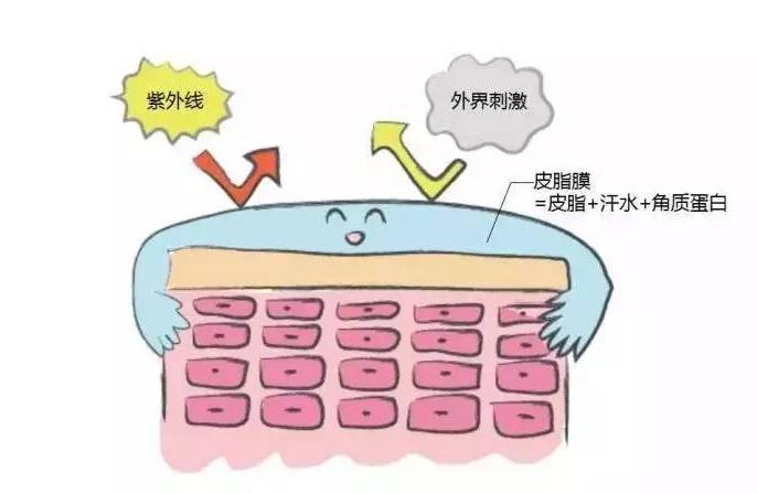 大干皮怎么更好用甘油护肤,甘油护肤补水在哪个步骤用