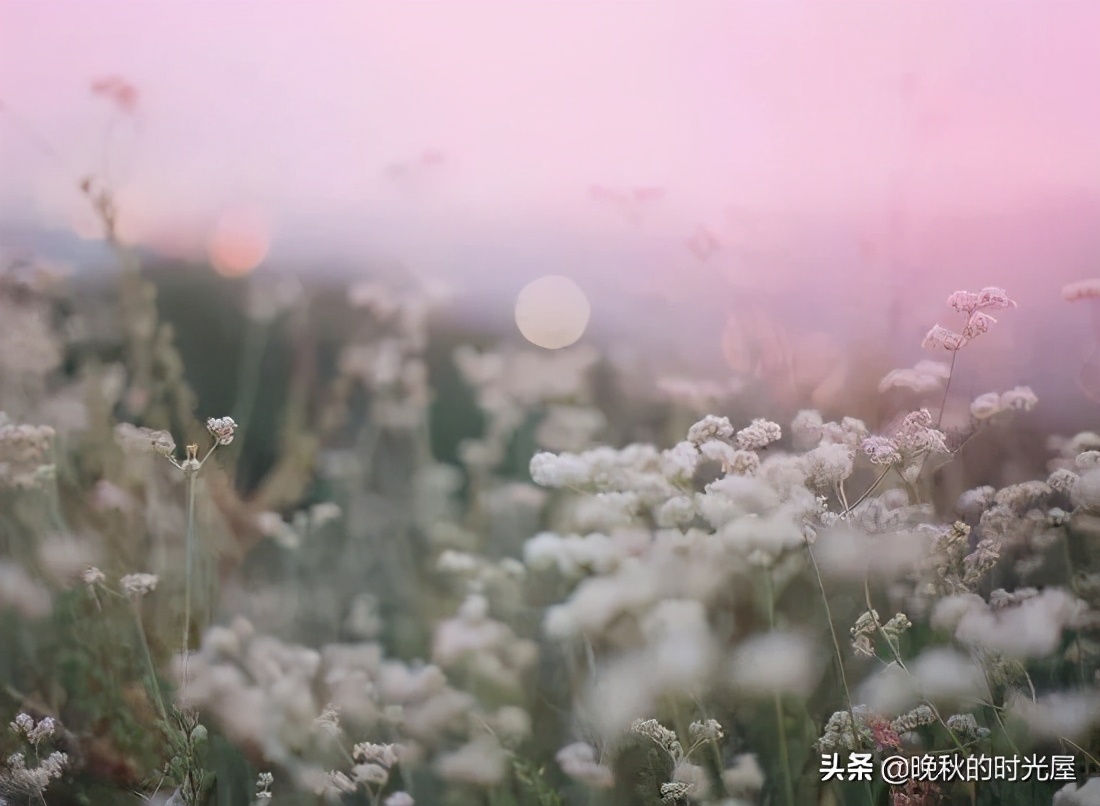 我们以为来日方长,许多时候我们总是以为来日方长