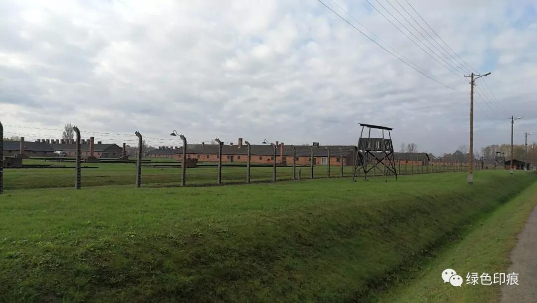 奥斯维辛集中营旅游,奥斯维辛集中营雏菊