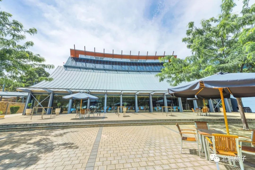 中国气候宜居城市2021,2021亚洲最宜居城市