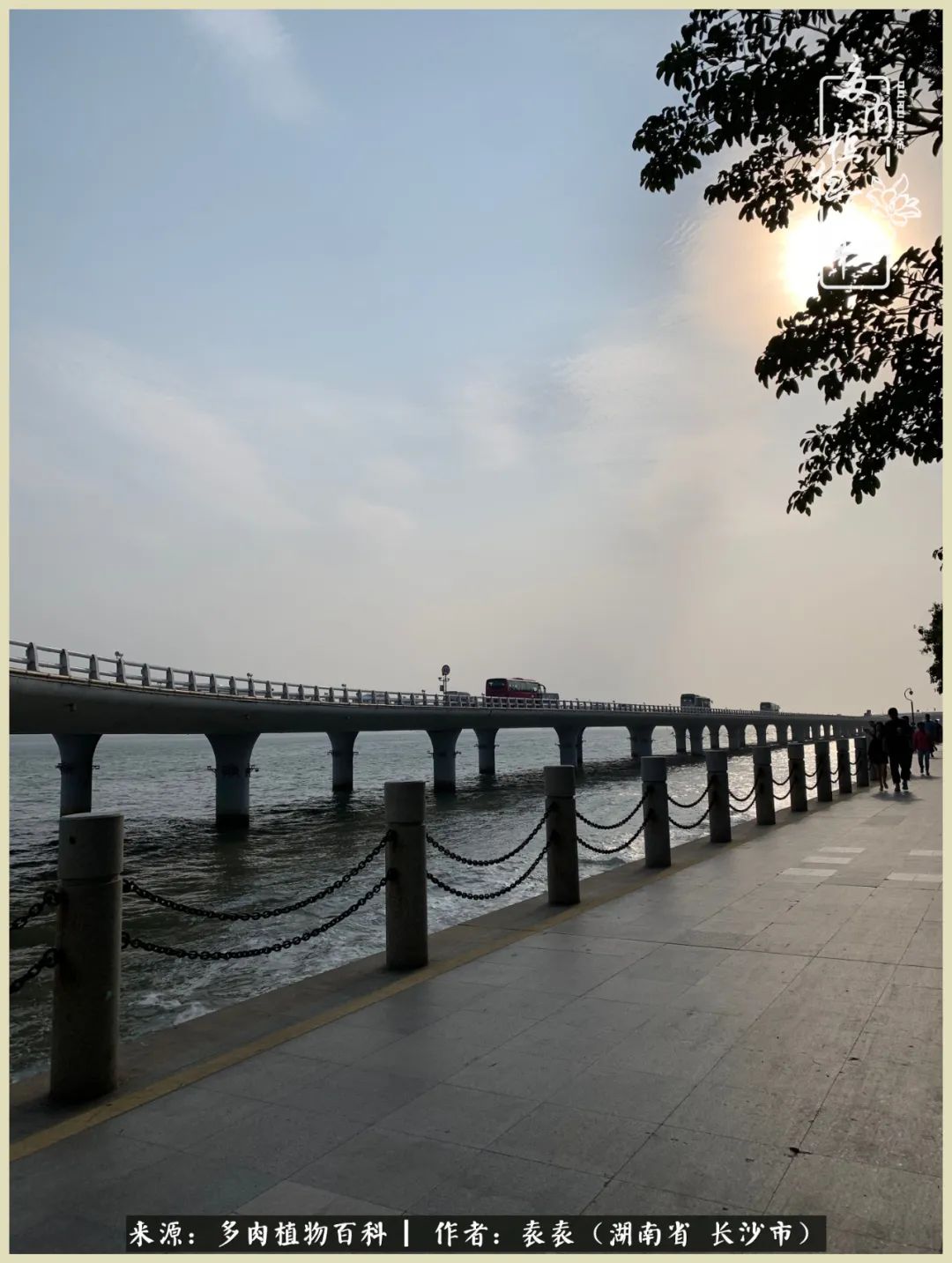 栽花种草的岁月，万物生长之阴晴圆缺