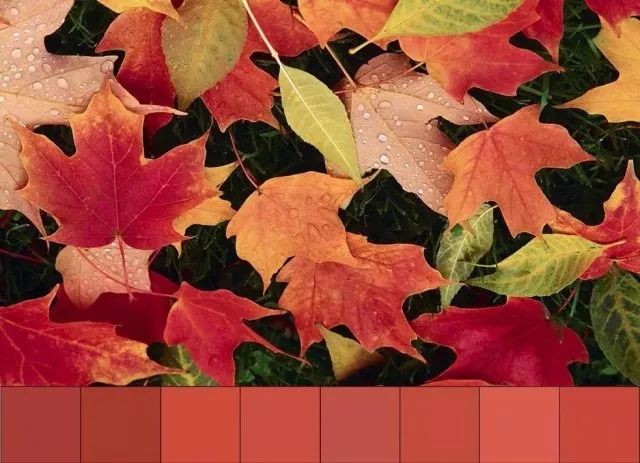 秋冬气质显白又高级的口红,兰蔻黄皮显白口红秋冬