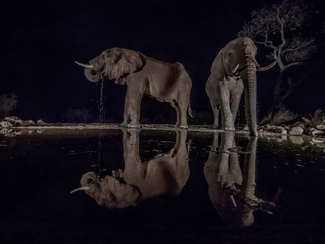 第26届奥地利摄影展,奥地利超级摄影巡回赛28年回顾展