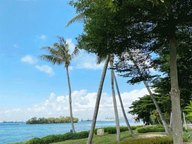 疫情期间去埃及旅游的亲历,疫情期间从深圳直飞洛杉矶体验