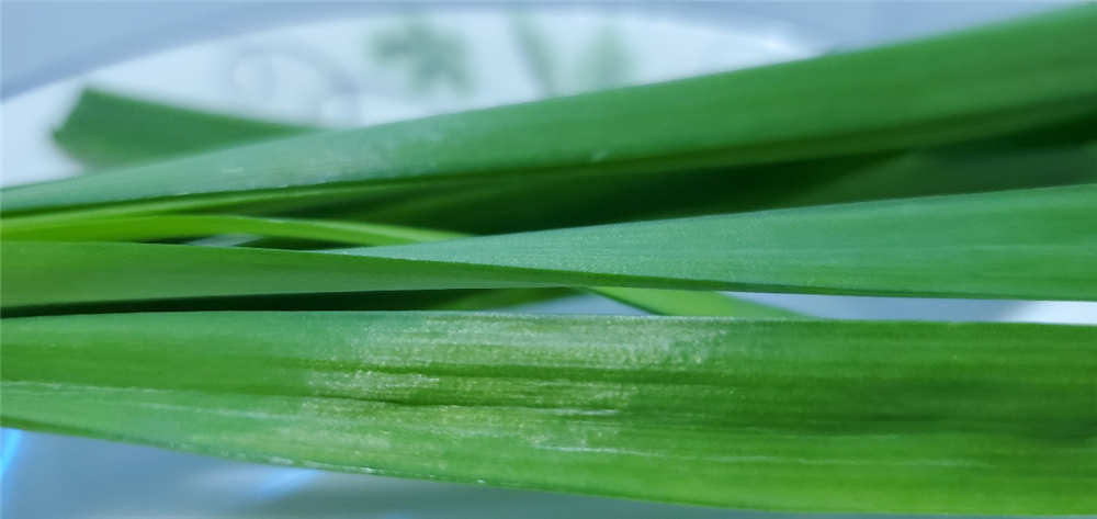 美的471L冰箱测评,美的541冰箱是双循环吗