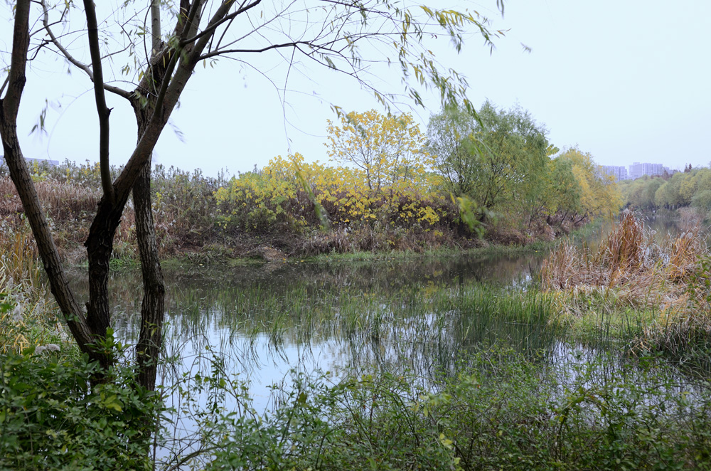 尘封往事新河,尘封往事不堪回首