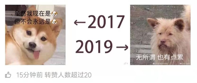 2017vs2019配图,2017vs2019变化