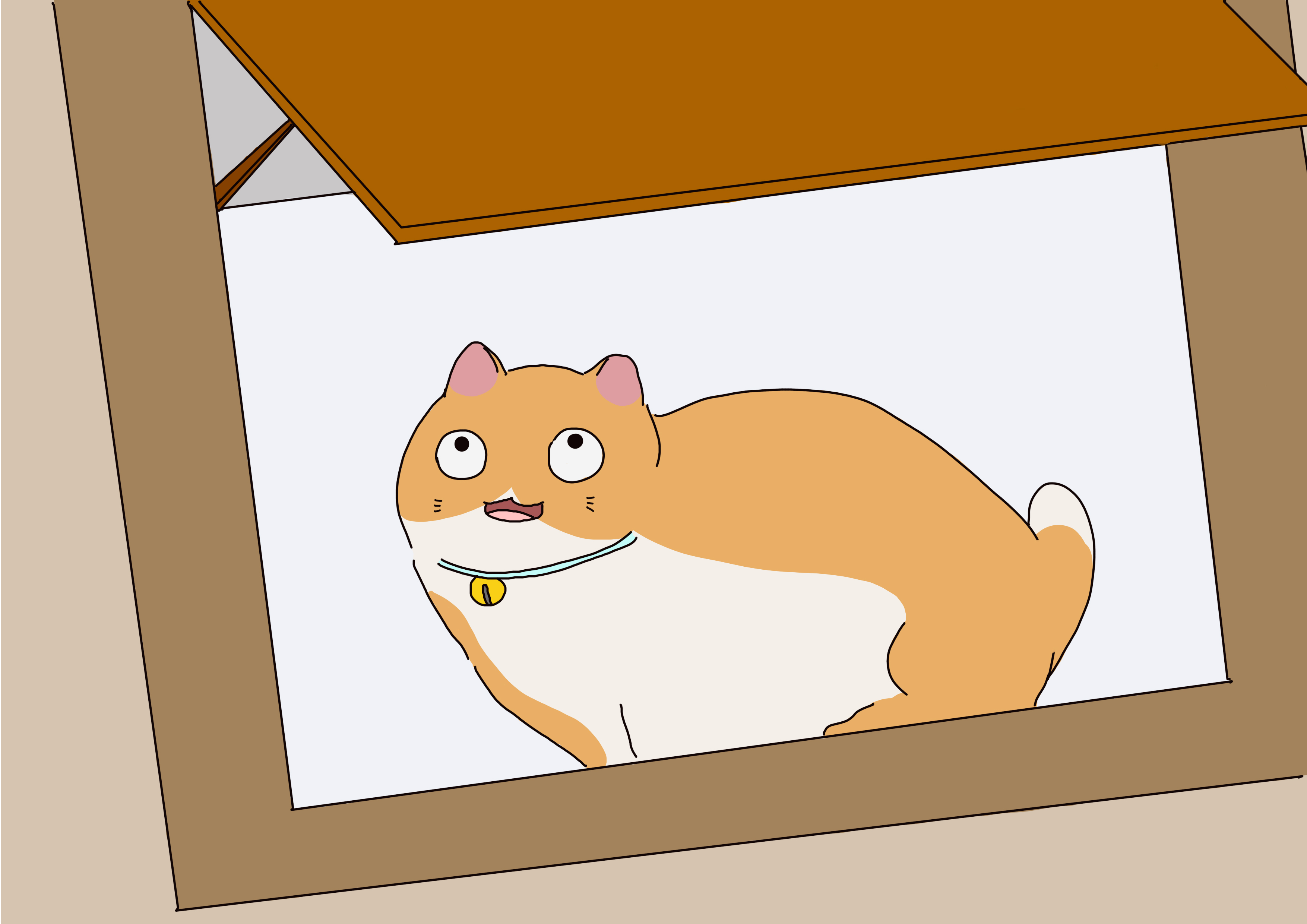 猫长时间单独在家，3种方式缓解猫的压力，铲屎官要转移猫注意力