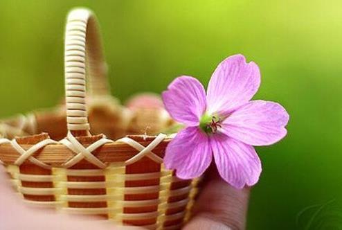 小肚鸡肠的人是哪种心理,小肚鸡肠的人是什么性格