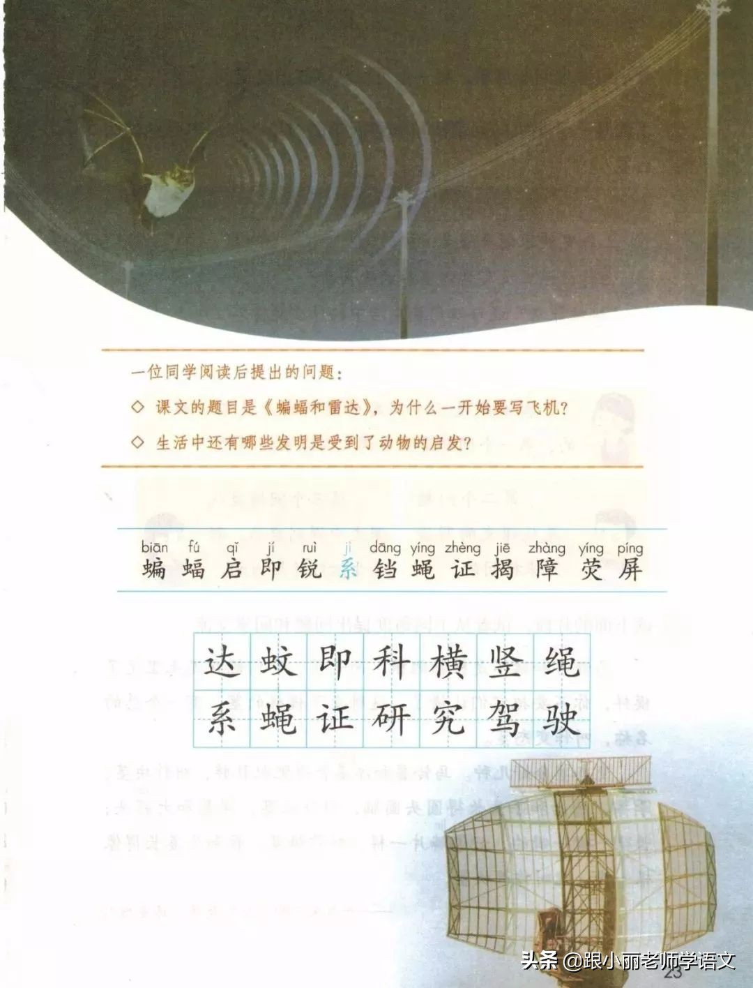 语文思维导图四年级上蝙蝠和雷达,人教版四年级上册蝙蝠和雷达朗读