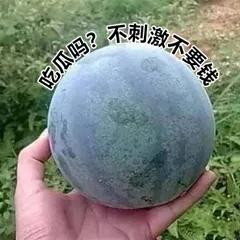 不管多高冷闷骚的西安年轻人，都抵挡不住这波“吃瓜的诱惑”