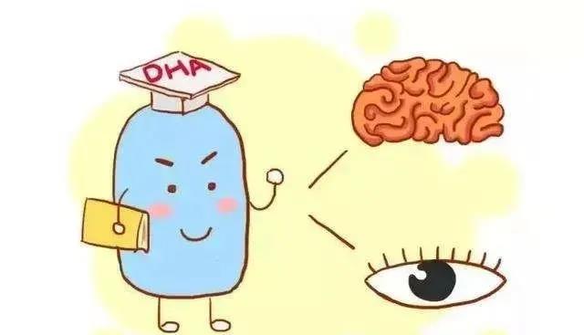 dha脑黄金值得买吗,dha脑黄金是真实的吗