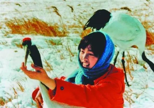 她是第一位在保护战线殉职的烈士，弟弟接班后，43岁时不幸牺牲