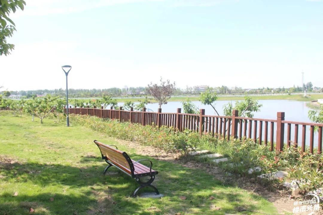 30+公园在路上，荆州又要“补绿”了