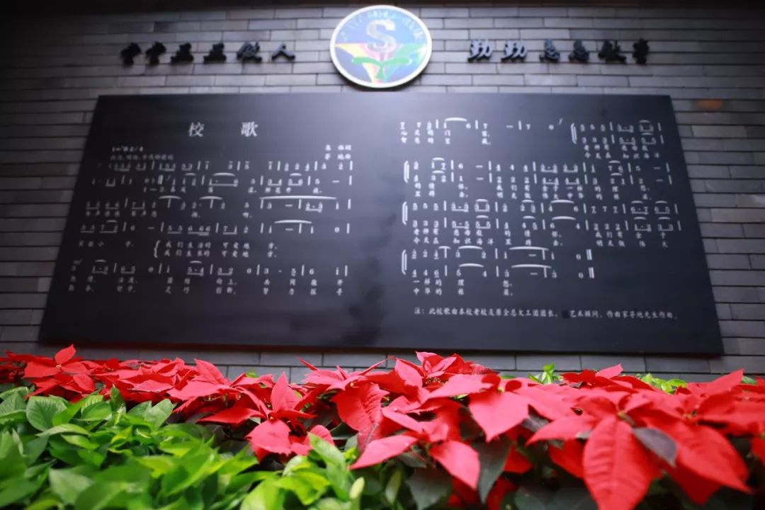 科普五朵金花抖音,成都五朵金花之实验小学