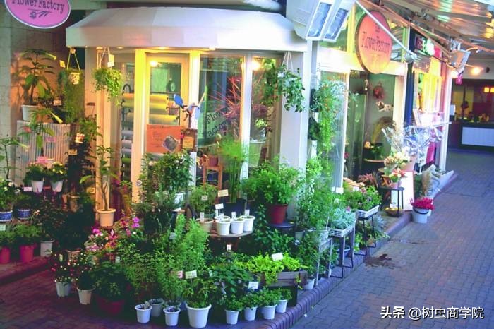 开个鲜花店应该怎么经营,如何低成本开一家鲜花店