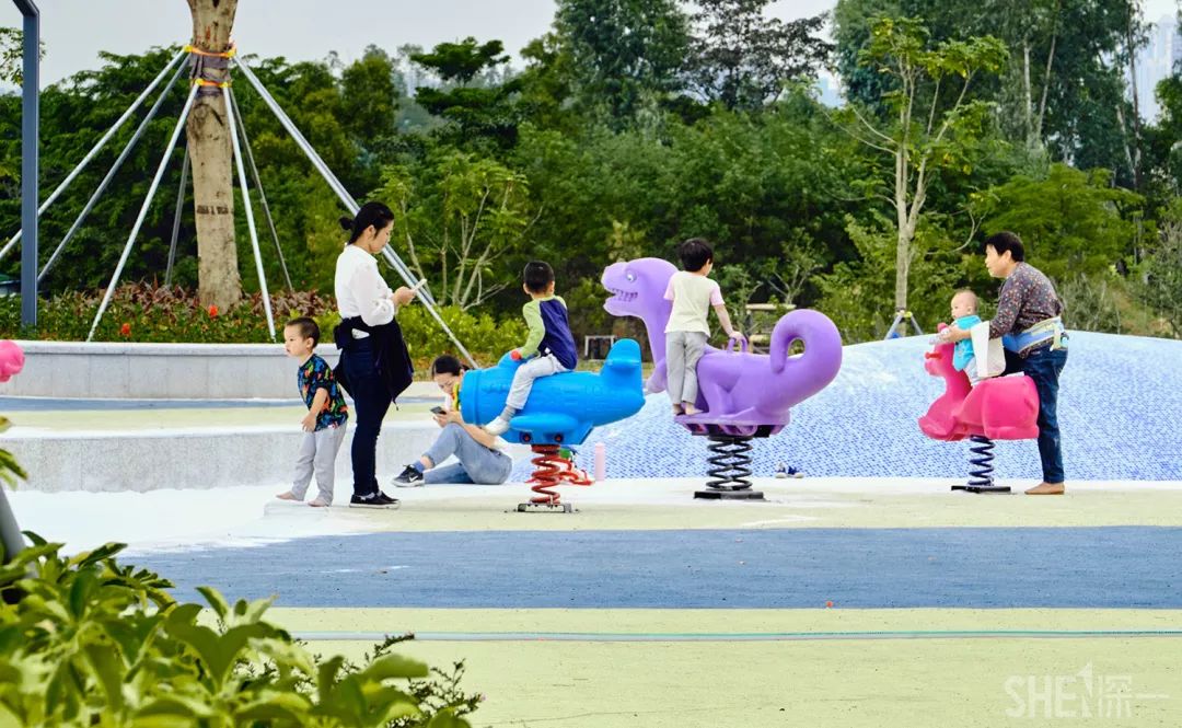 龙华新公园在哪里,深圳龙华区免费的公园