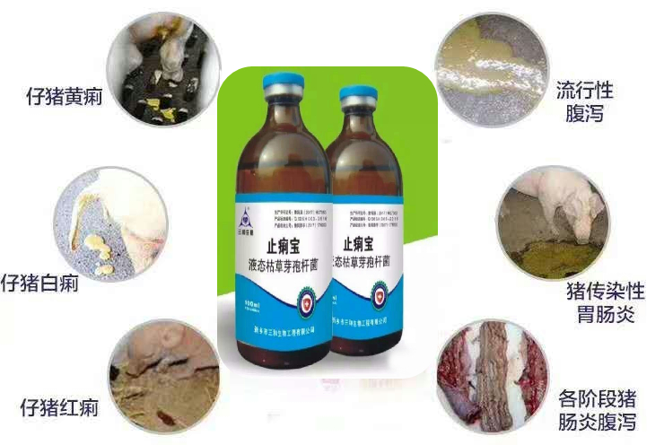 新生小猪拉黄稀怎么回事,小猪腹泻用什么药