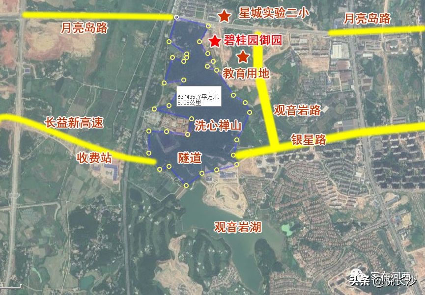 坚挺！高铁西限价首次破万！7字头现房大平层，踩在风口上