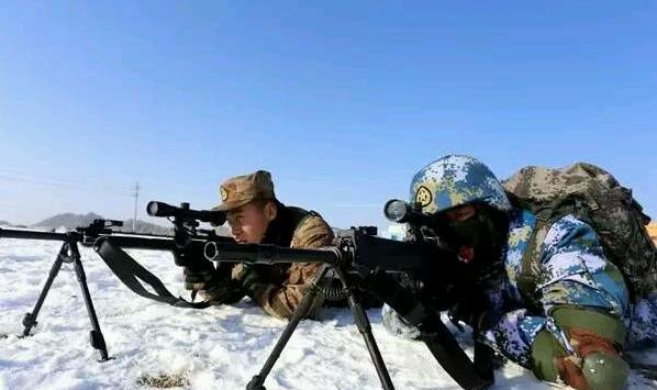 cf88式步枪,88式狙击步枪性能和参数