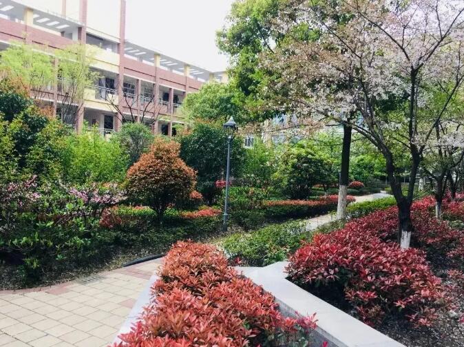 昆山最厉害的10所小学曝光,昆山十大高中