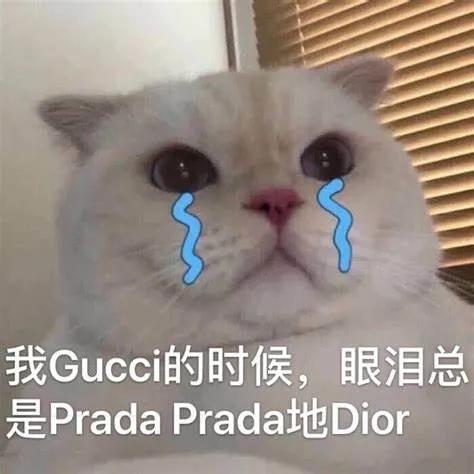 留学生鄙视链,留学生鄙视链地区