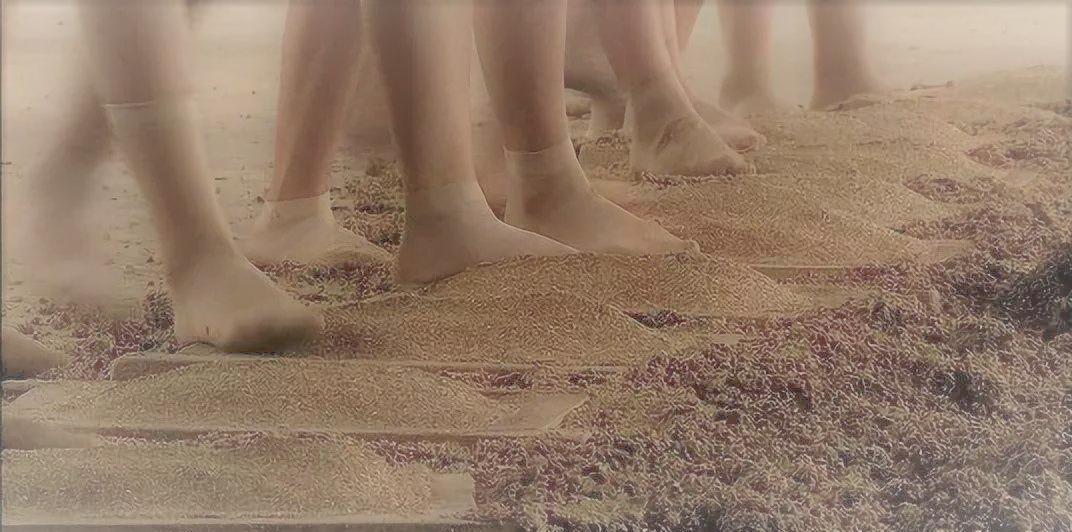 老萧杂说,老萧杂说文章