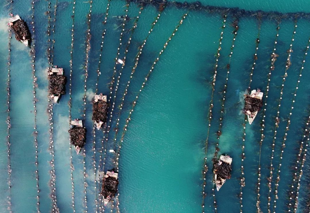 烟台自带仙气的城市,烟台福山名媛