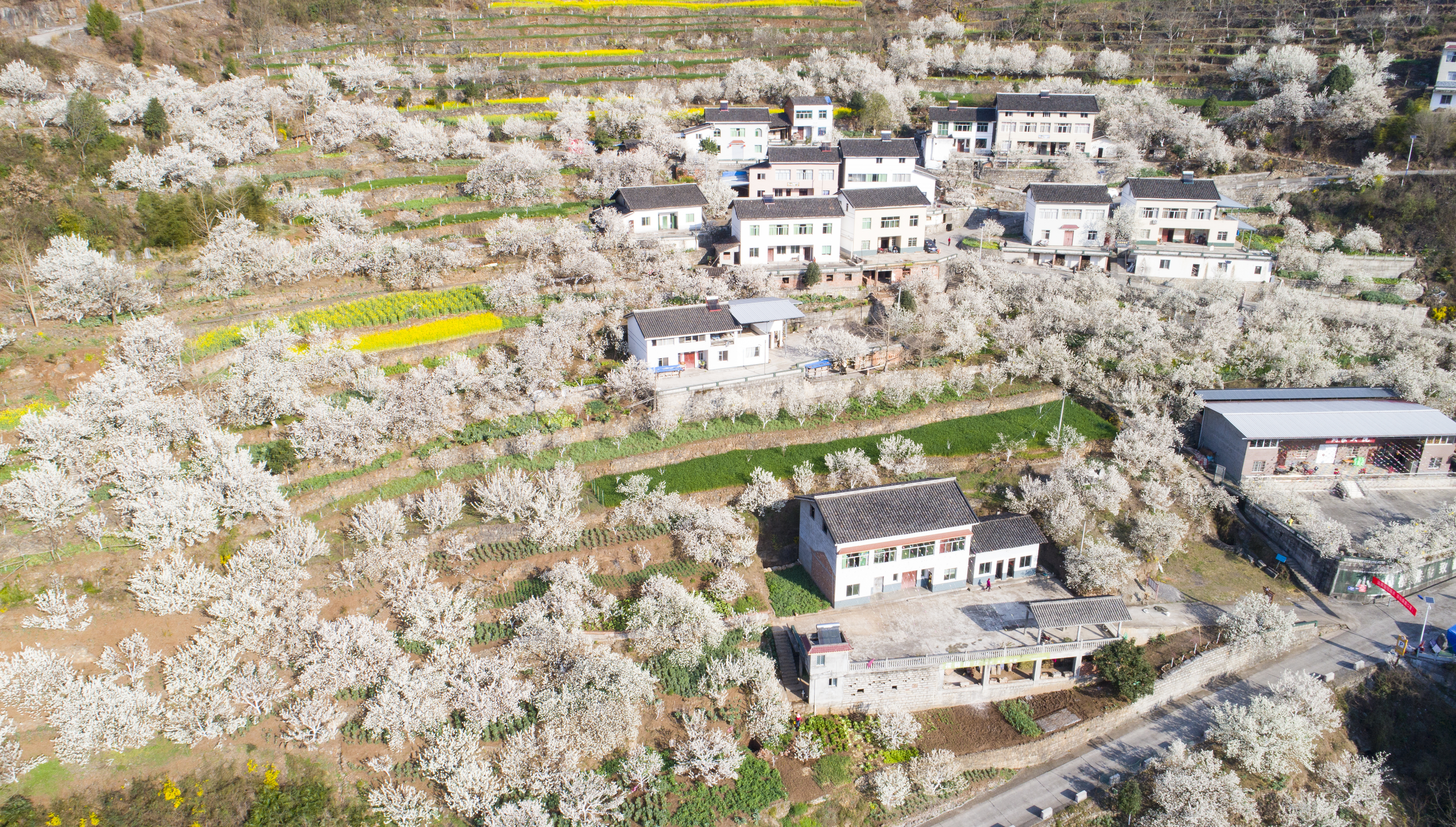 广元加强城市发展,四川天府旅游名县创建夹江