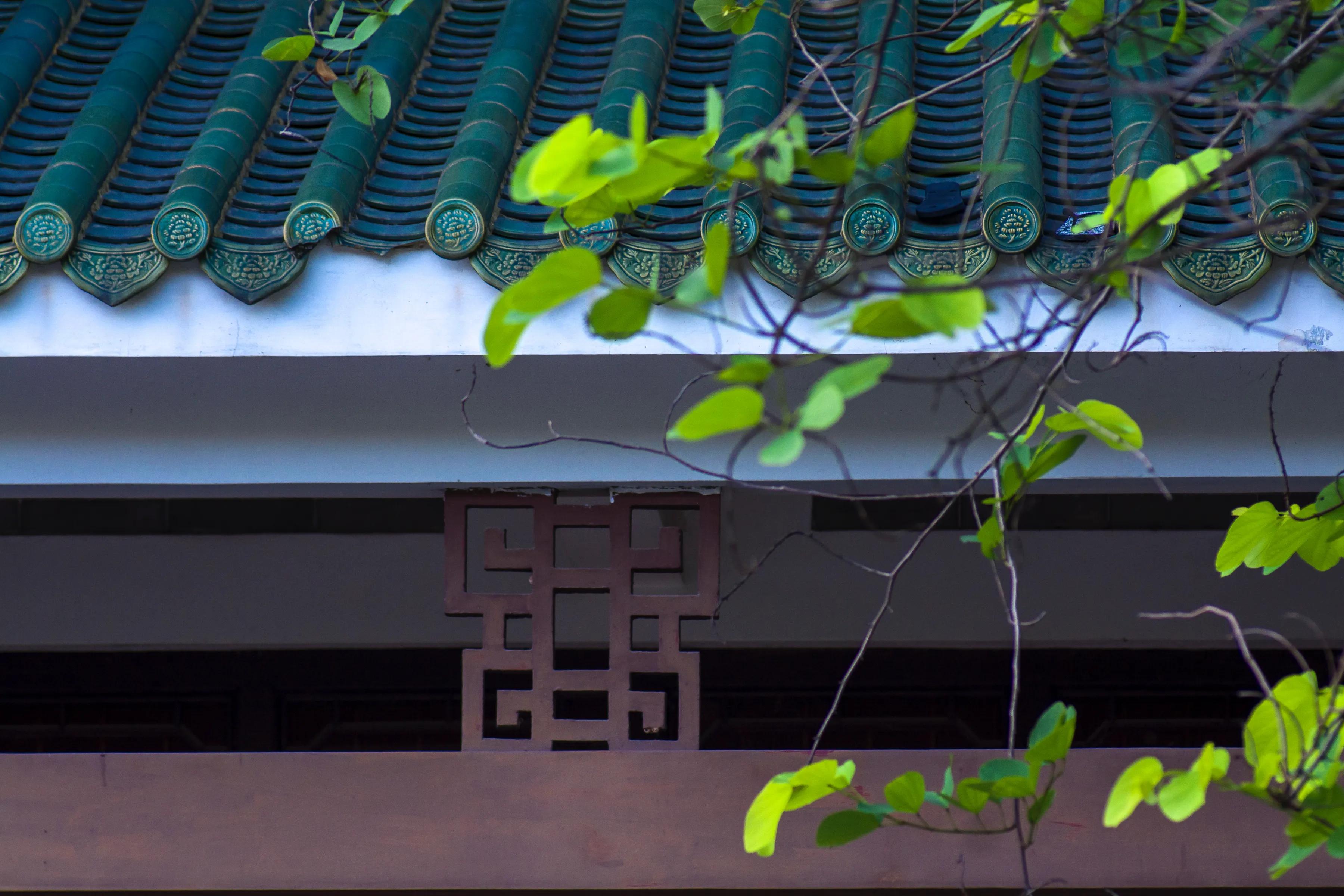 莱卡跟尼康怎么选,徕卡90mmf2.8