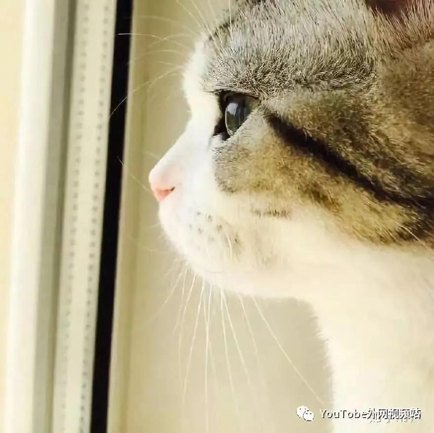 女朋友比你有钱是什么体验知乎,知乎过万点赞