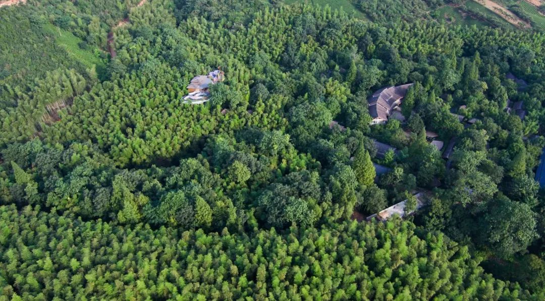 游玩半价票,0元门票玩上海