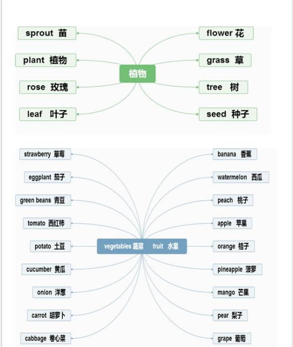 单词记忆小卡片怎么记单词,单词记忆法电子单词卡