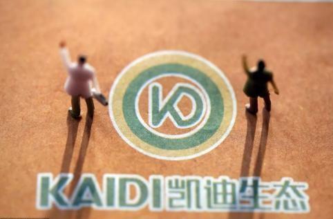 从出生混到一无所有再到负债累累,st凯迪退市最新信息