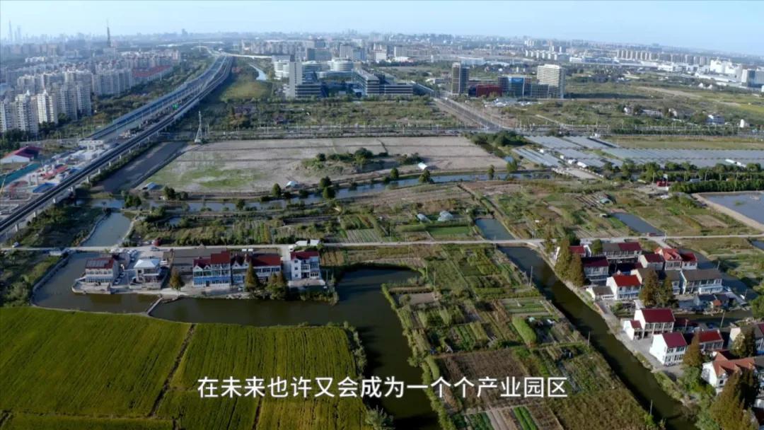 上海城市化的尽头——周浦,诱人「安家」也让人「逃离」