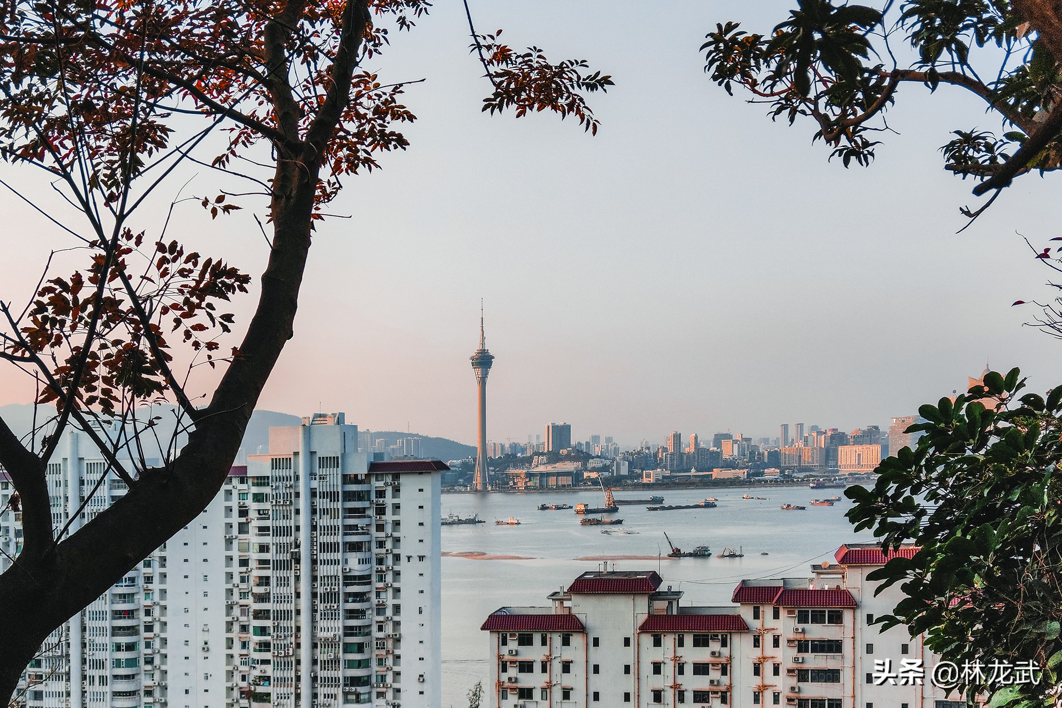 去澳门带一台手机,去澳门旅游带两个苹果手机
