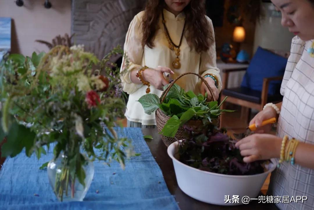 绉嶈崏鐢熸椿鏂瑰紡,绉嶈崏缁囧竷