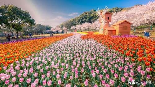 苏州上方山森林公园作文,苏州上方山国家森林公园电话