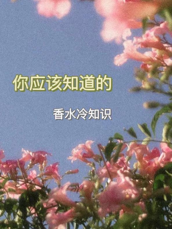 香水入门科普香水小白入门必看,香水入门小知识大全