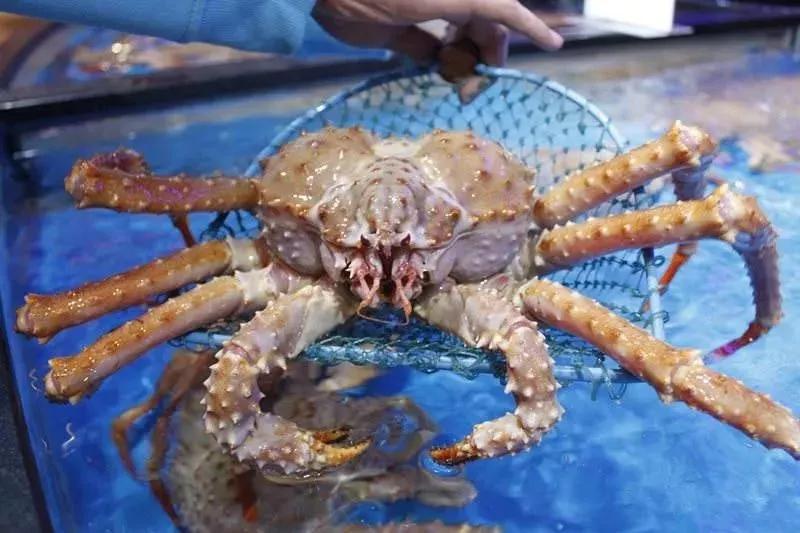 水产行业政策和发展趋势,水产行业的发展及市场行情