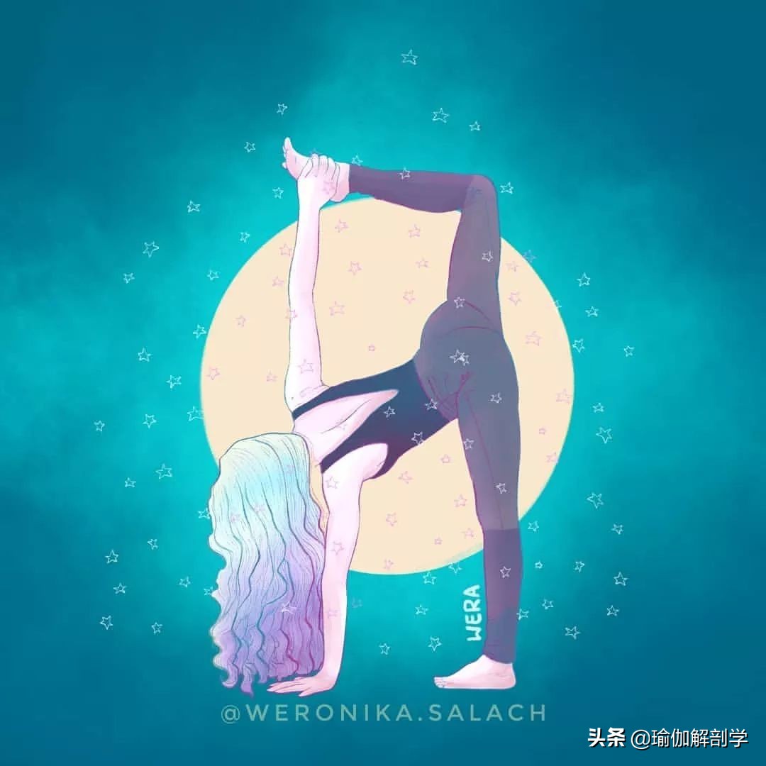 初学瑜伽应该练哪种瑜伽,练瑜伽的初学者最好先练什么瑜伽