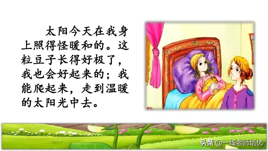 四年级上册豆荚里的五粒豆笔记,一个豆荚里的五粒豆四年级课文