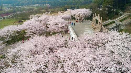 苏州上方山森林公园作文,苏州上方山国家森林公园电话