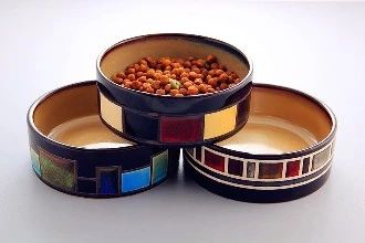 幼猫打疫苗和驱虫可以同时进行吗,猫猫驱虫和打疫苗可以同时进行吗