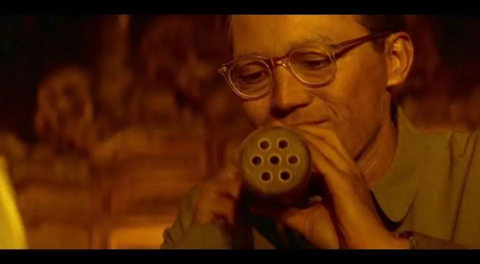 吸猫养狗和养猫的不同之处,养宠物猫比较流行的城市