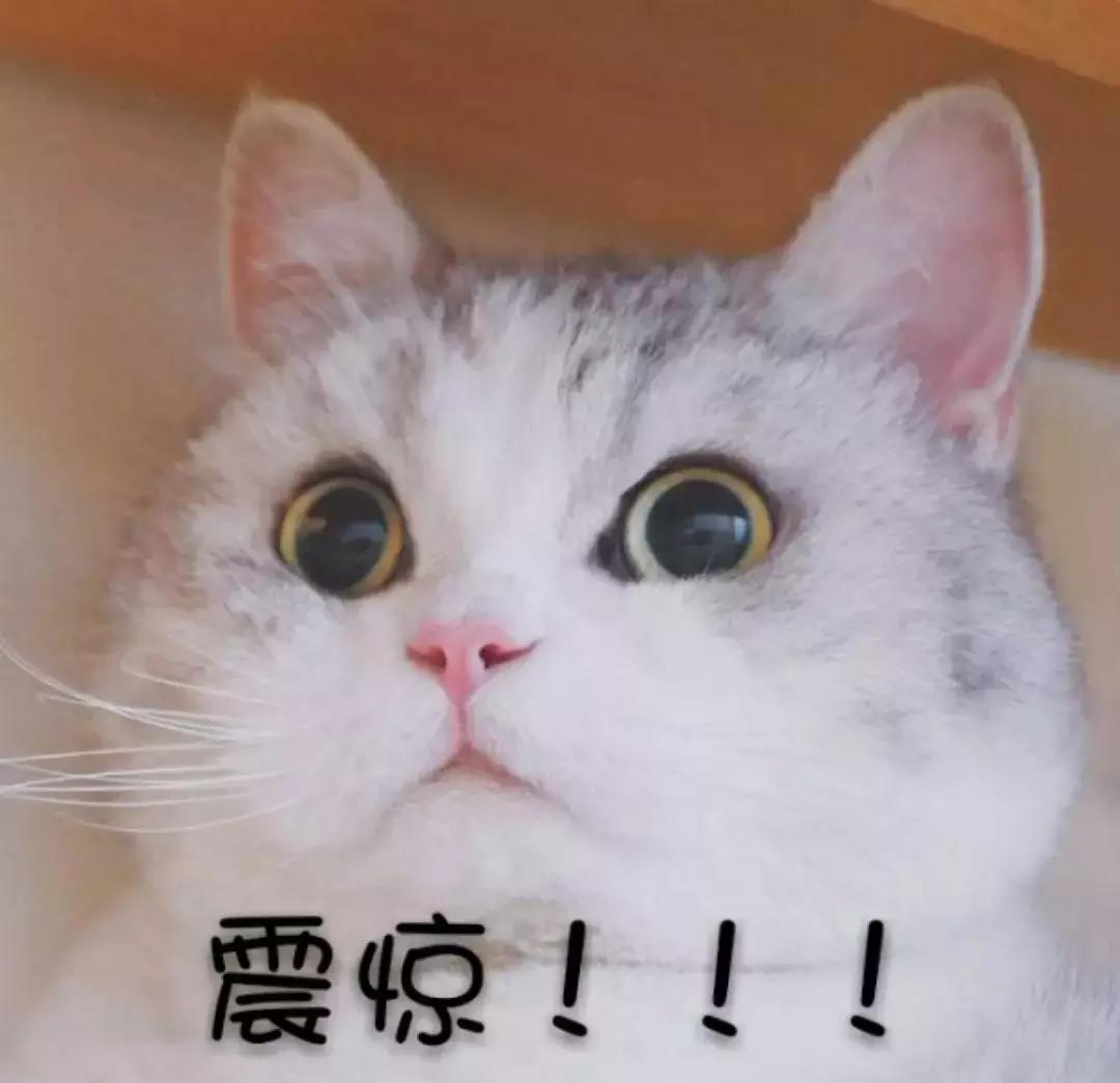 你手机里的app,你手机里的app有哪些