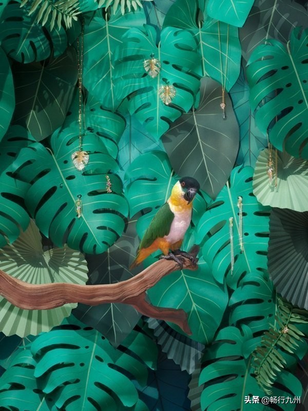 施华洛世奇瑰丽花朵,施华洛世奇热带风情系列